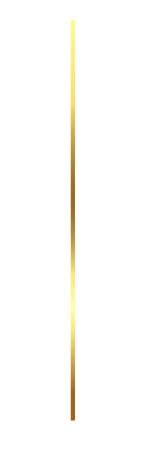 sil_linea vertical@2x